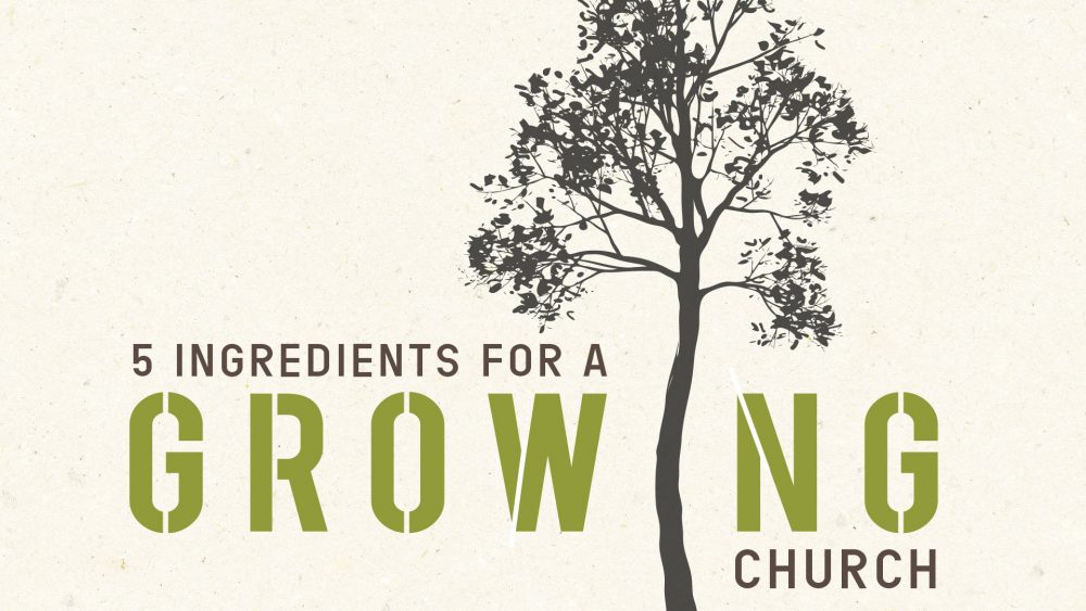 5 Ingredients for a Growing Church