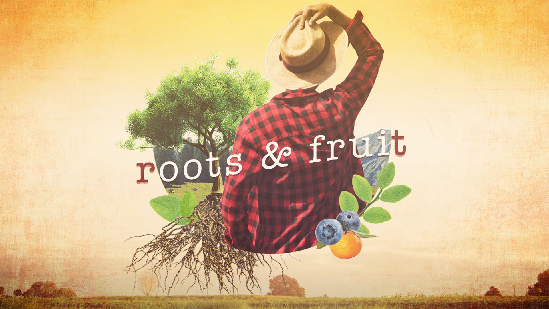 Roots And Fruit