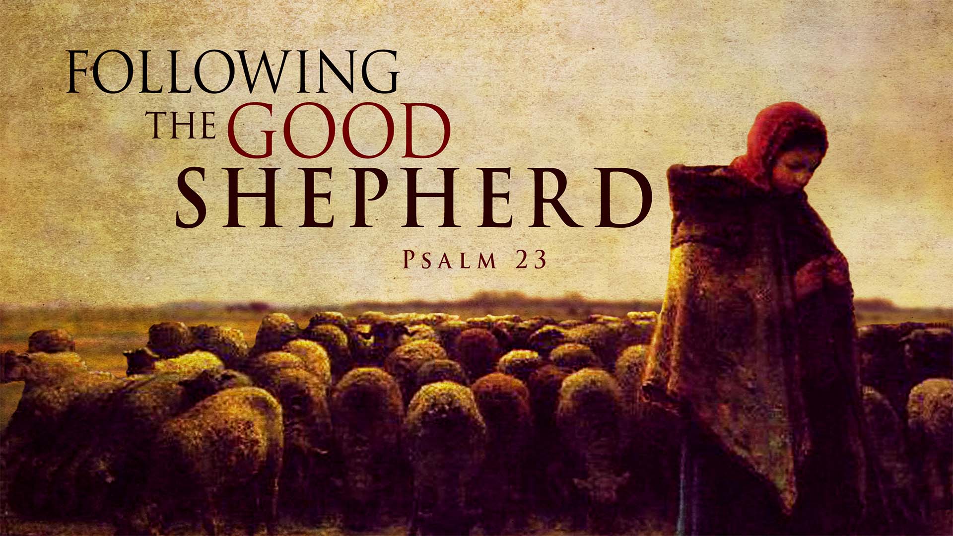 Following the Good Shepherd
